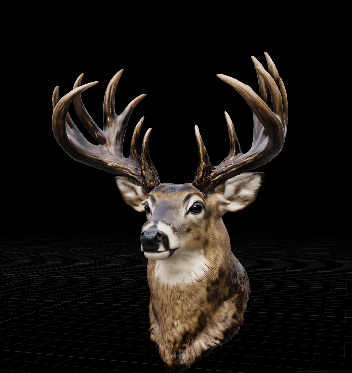 3D Deer